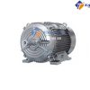motor-cua-may-xit-rua-xe-cao-ap-75kw